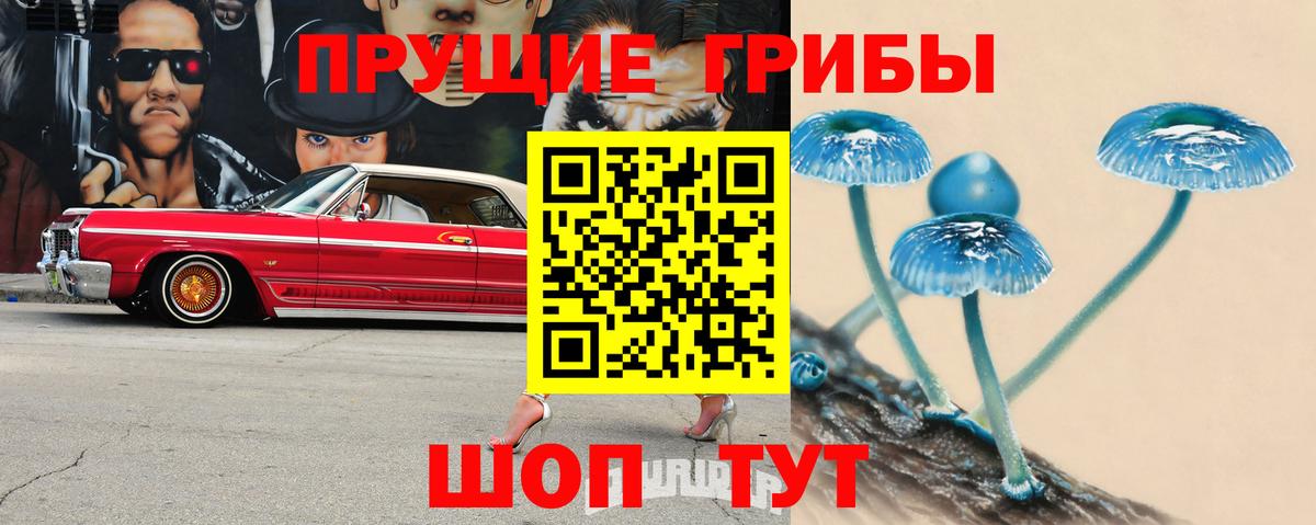 Галлюциногенные грибы Psilocybe  Псилоцибиновые грибы прущие грибы  Вход с VPN  Конаково 